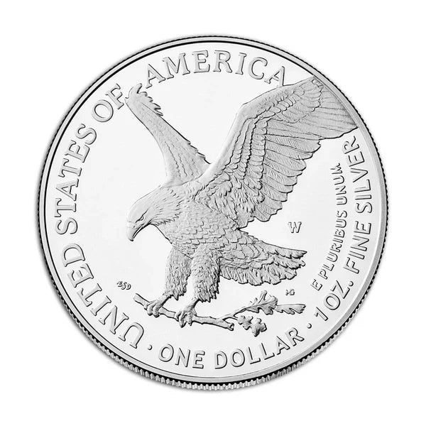 Proof Silver American Eagle detail